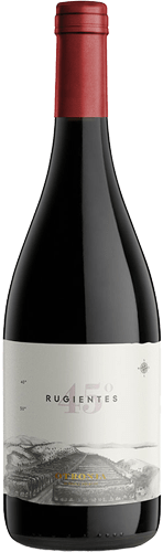 45 Rugientes Pinto Noir 2018
