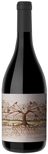 Almacén de la Quebrada Cachi 2019