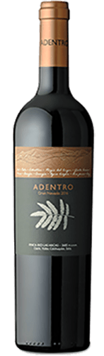 Adentro Gran Nevado Malbec/Merlot 2019