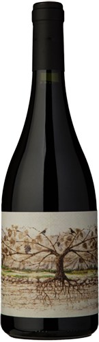 Almacén de la Quebrada Cachi Malbec 2019