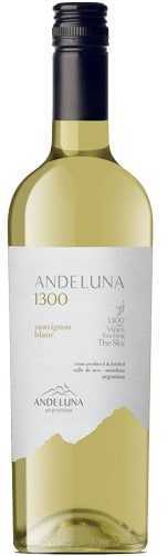 Andeluna Andeluna 1300 Sauvignon Blanc/6034