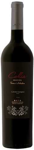 Callia Magna Terroir Selection Zonda Callia Cabernet Sauvignon 2013