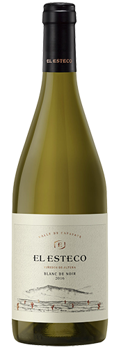 El Esteco El Esteco Blanc de Noir Pinot Noir/5255