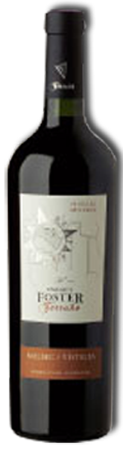 Foster Foster Terruño Vistalba Malbec/93