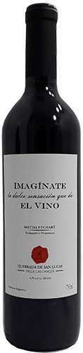 Imagínate la dulce sensación que da el vino Malbec 2019