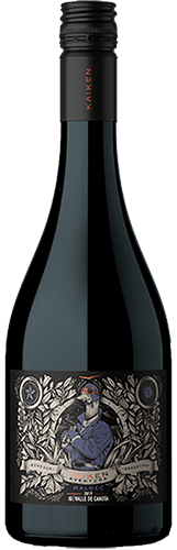 Aventura Valle de Canota Malbec 2022