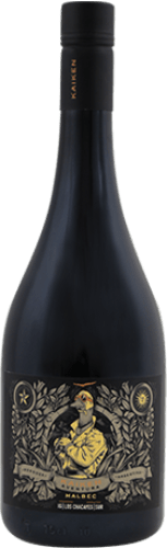 Aventura Los Chacayes Sur Malbec 2022