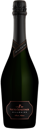 Nieto Senetiner Millésimée Brut Nature Nieto Senetiner Blend 2016