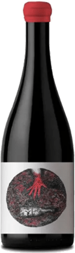 Solito Va Maceracion Carbónica Malbec 2023