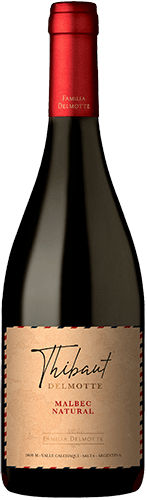 Thibault Delmotte Malbec Natural 2021
