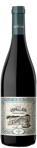Estancia Uspallata Malbec 2019