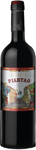 Zorzal Piantao 2019