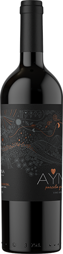 Ayni Parcela Gravas Malbec 2021