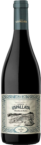Estancia Uspallata Malbec 2020